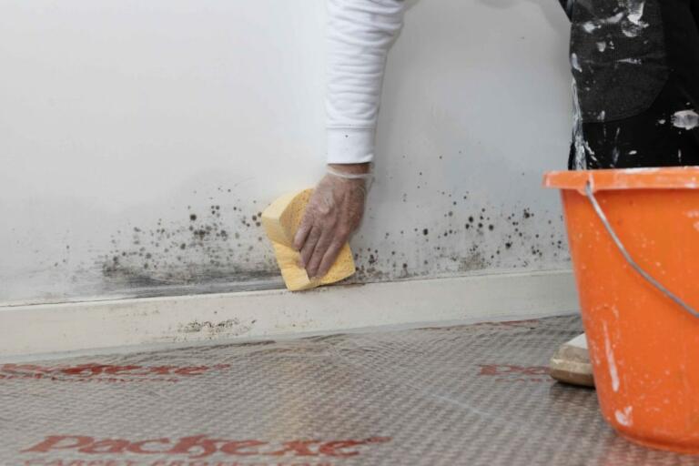 Premium Antifungal Wall Painting Services in Dubai 2Painter